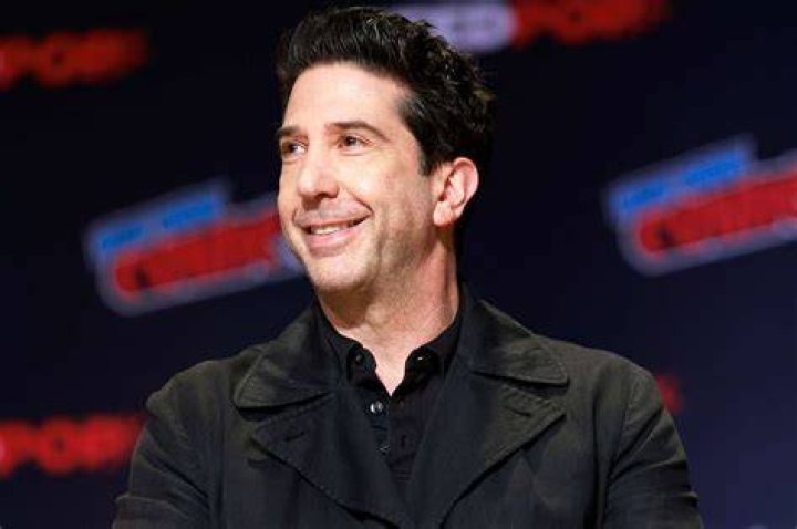 David Schwimmer says ‘Friends’ fame made him ‘want to hide’ National
