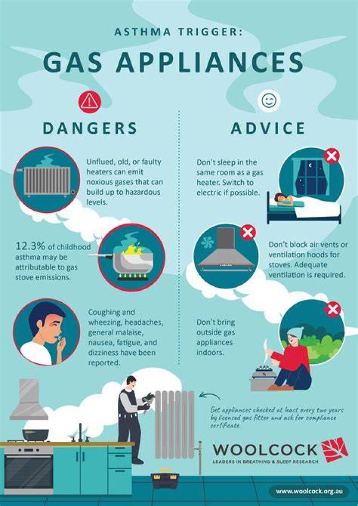 Gas Appliances are Bad for the Environment Aron Gangbar London