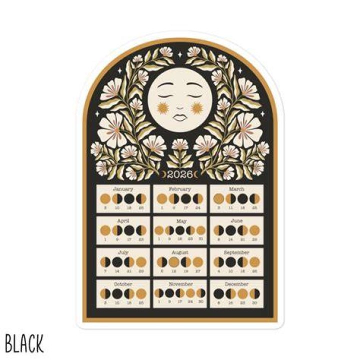 Lunar Liv Sticker Pack Etsy