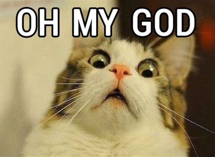 Oh My God I Almost Died (Workaholics) Trending Images Gallery (List