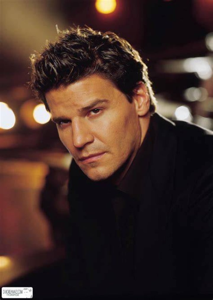 Photo de David Boreanaz Photo David Boreanaz AlloCiné