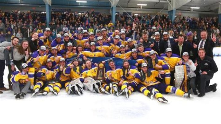 UWSP Men&rsquo;s Hockey Focused on 20142015 Season The Pointer